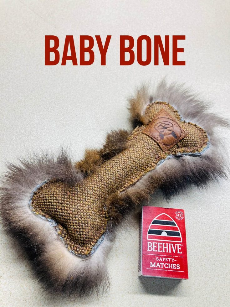 FunDiggityDog Baby Bone