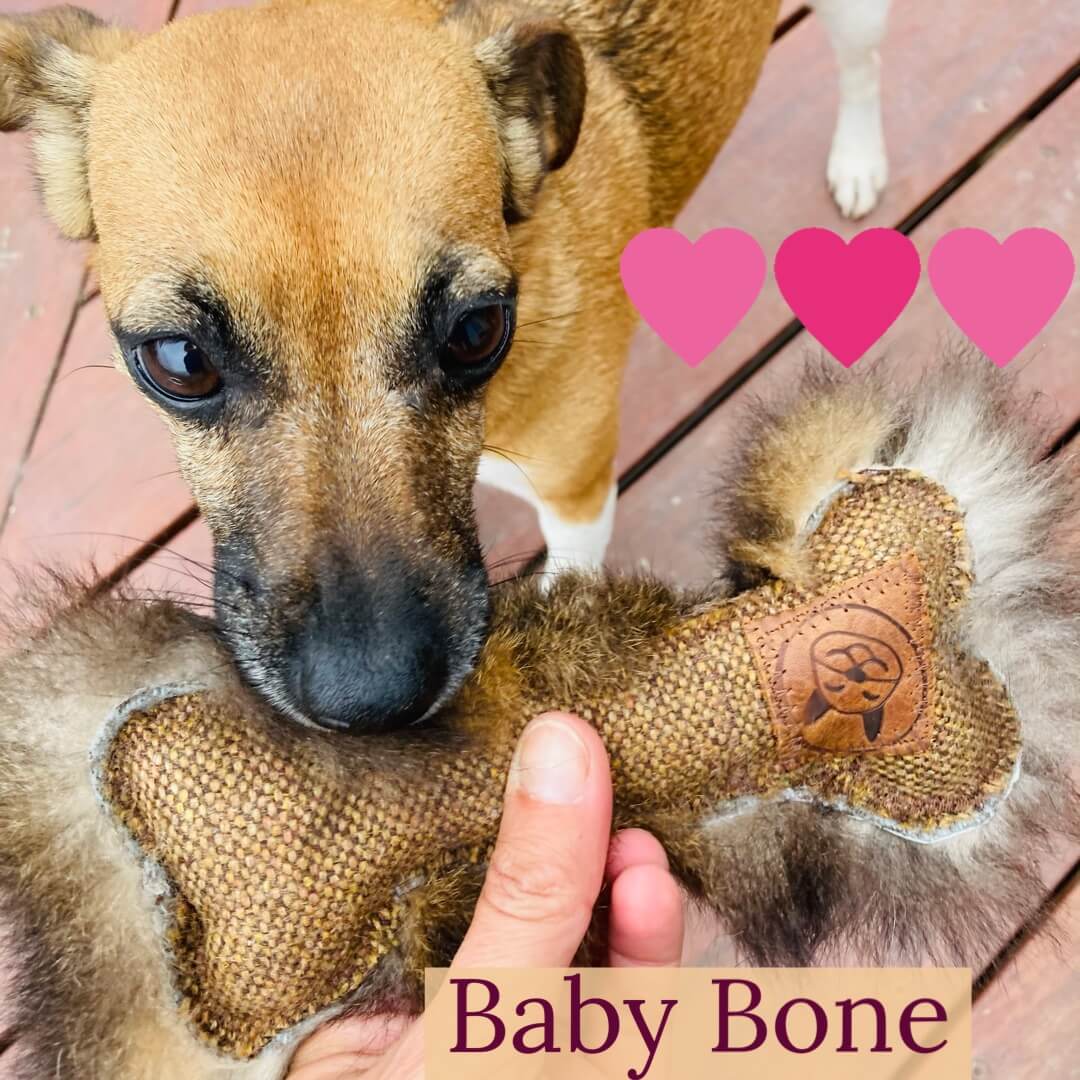 Eco-Friendly Baby Bone Dog Toy