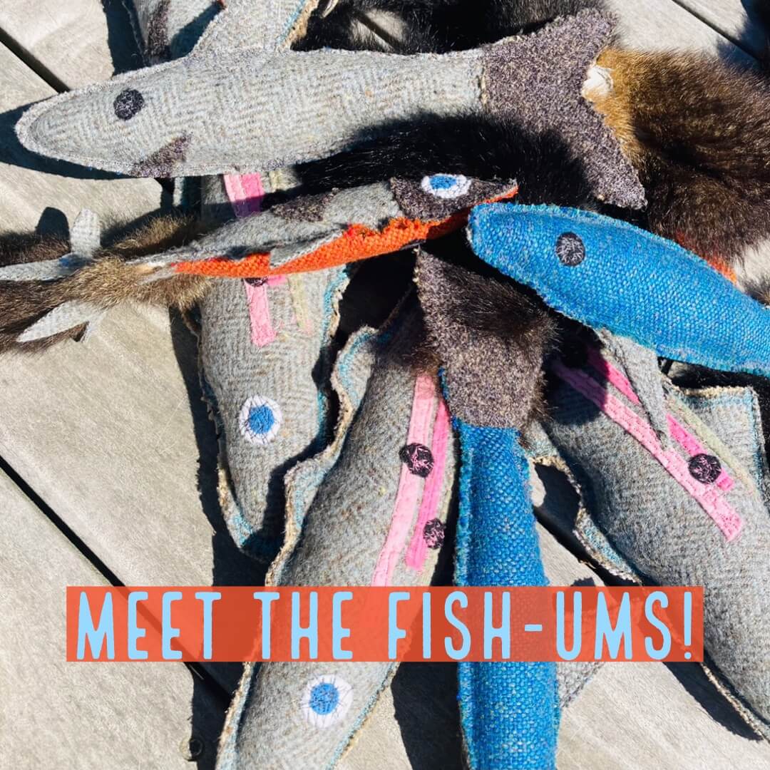 Homemade Fish Pet toys