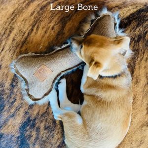 FunDiggityDog dog with large bone toy