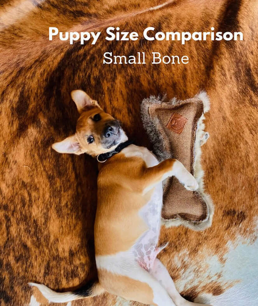 FunDiggityDog Small Bone Puppy comparison