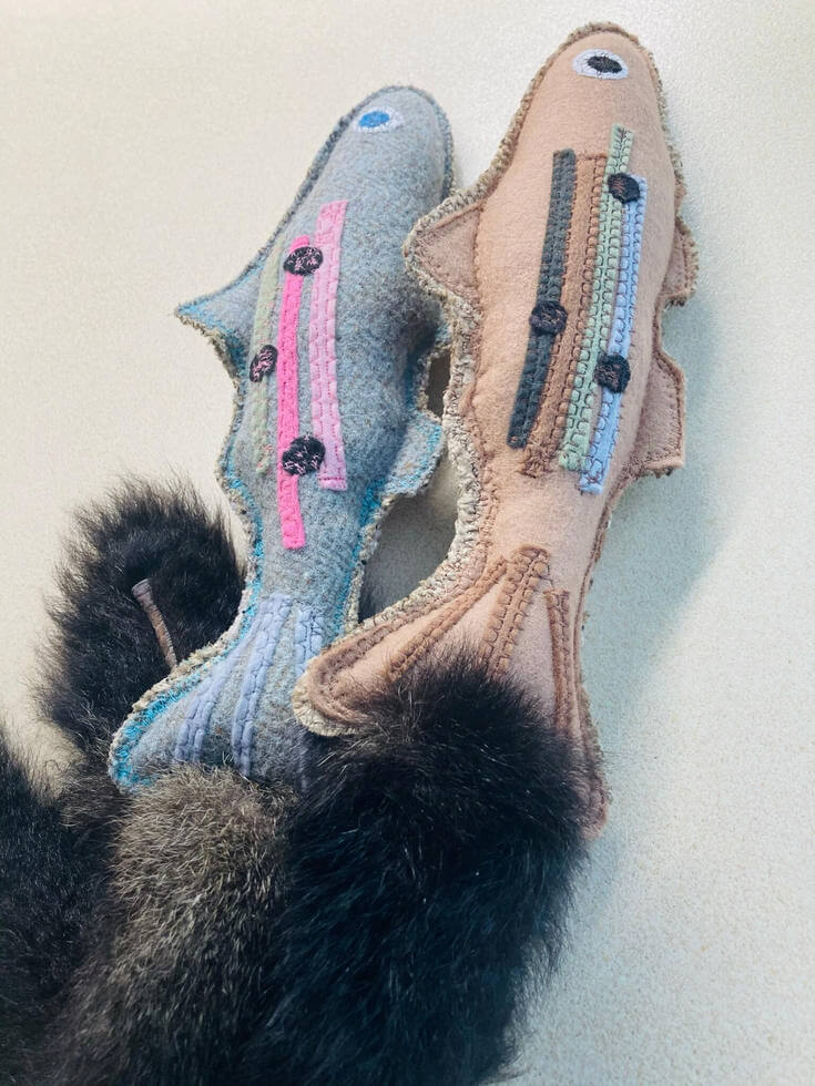 FunDiggityDog Fish Cat Toy